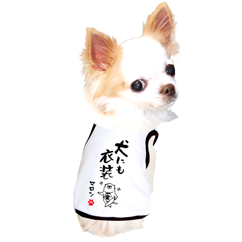 愛犬のお名前入り 接触冷感素材 クール 犬のことわざタンク 日本製【犬